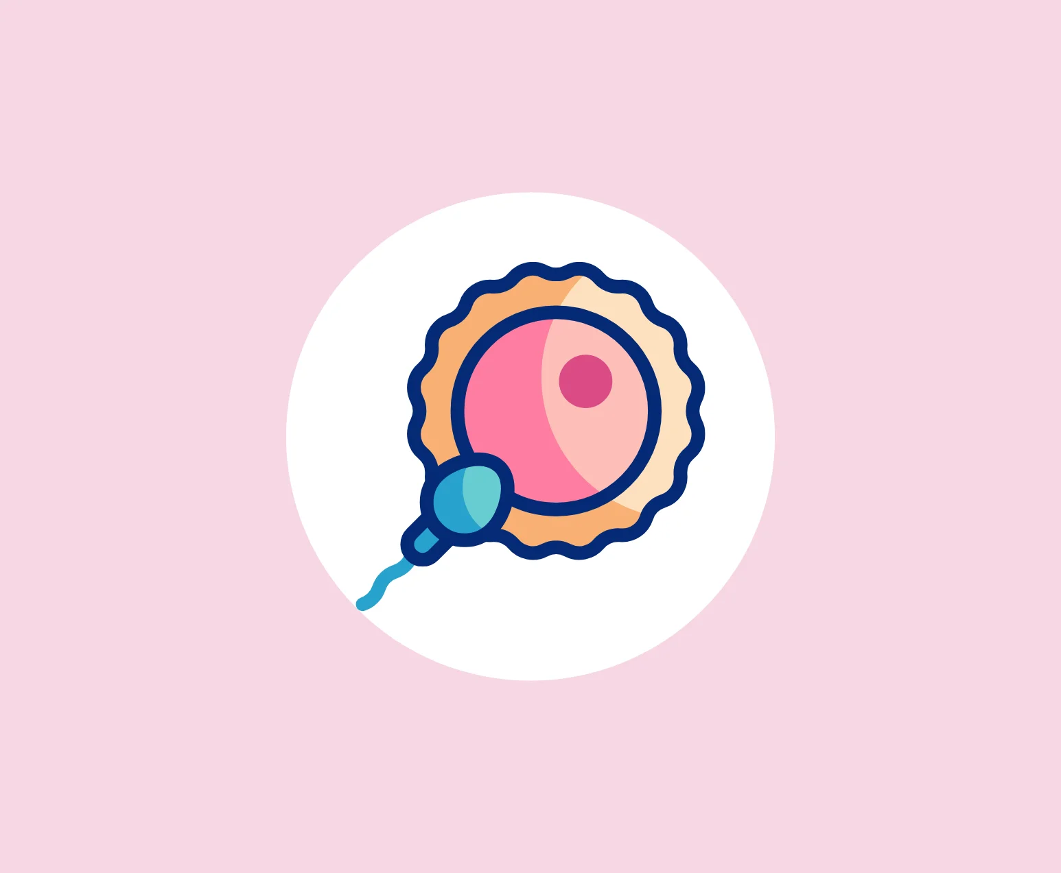 IUI Treatment Services