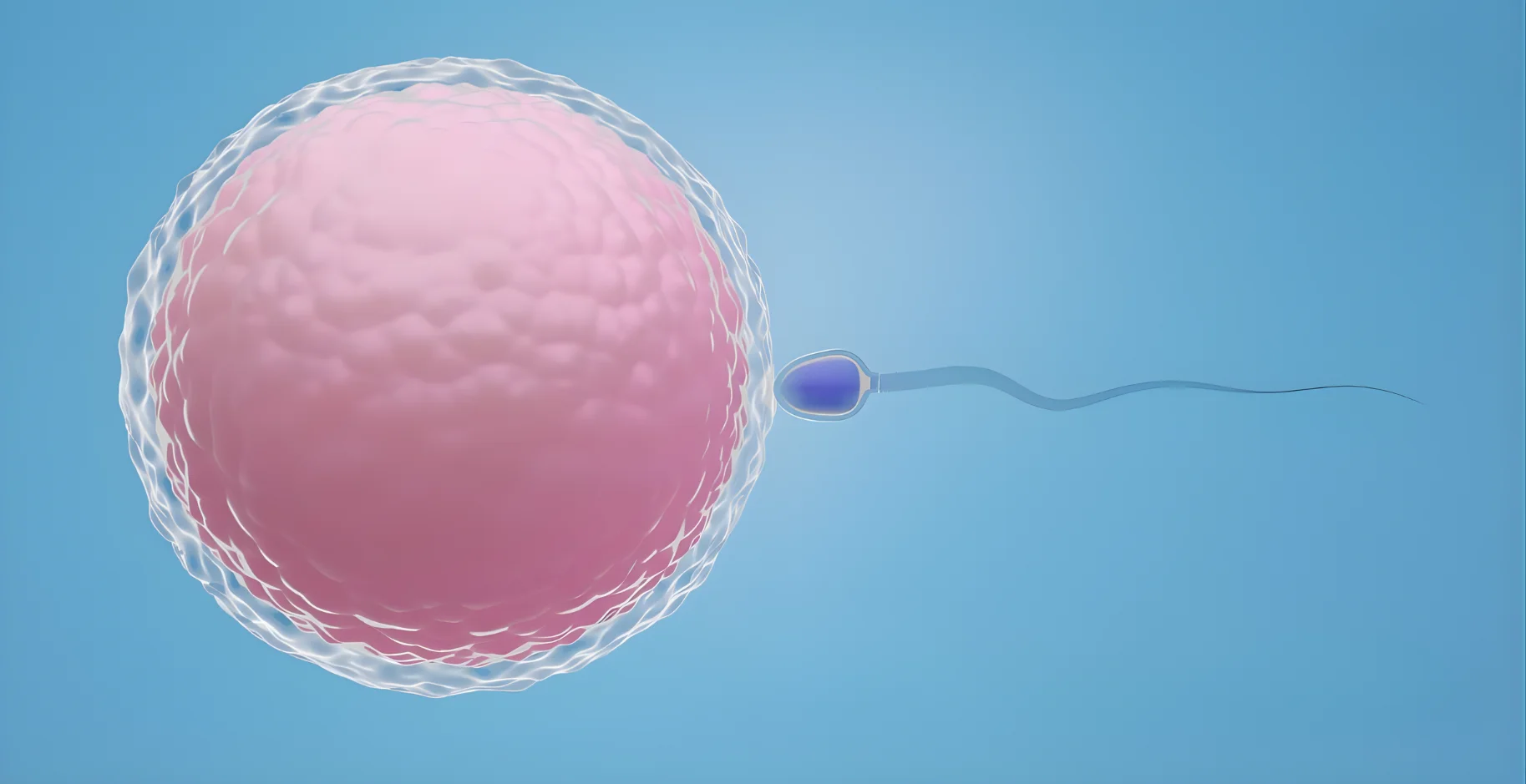 Dr. Sravya Buggana - IUI Treatment Specialist